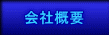 ЊTv
